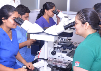 research-vision research-vision